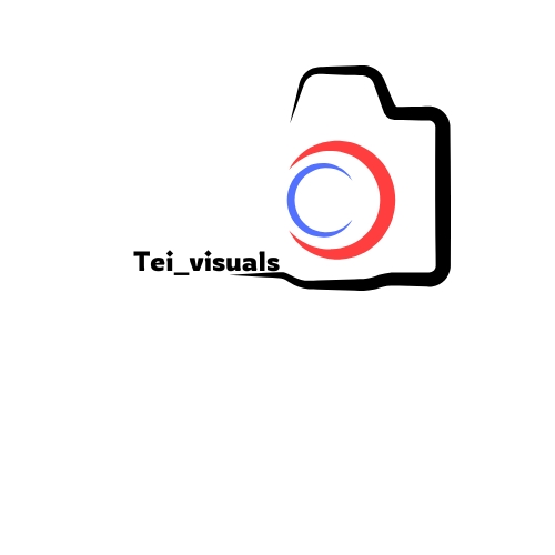 Tei Visuals logo